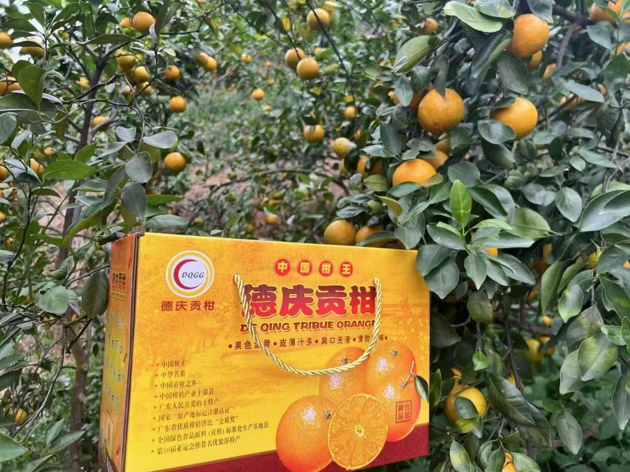 图为产品包装